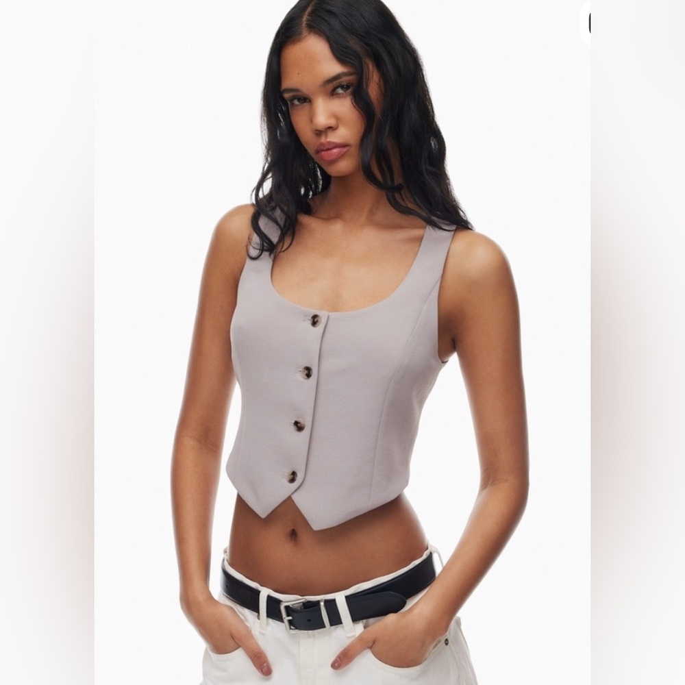 Aritzia Wilfred Rocco Vest Ashen Cendre (Grey)  Tailored Button Front Size 4 NWT